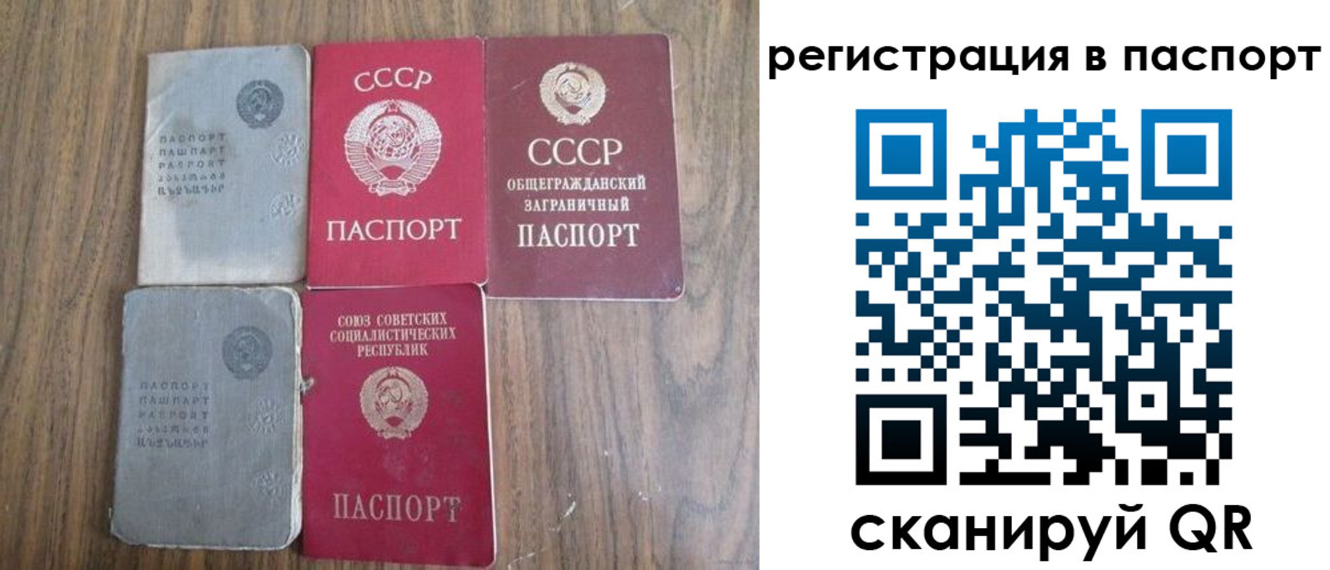 временная регистрация госуслуги в Новозыбкове
